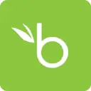 BambooHR Payroll AI Logo