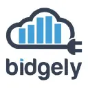 Bidgely AI Logo