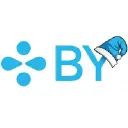 Blue Yonder AI Logo