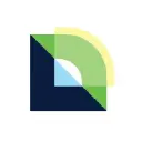 DataVisor AI Logo
