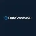 DataWeave AI Logo