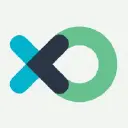 Flow XO AI Logo