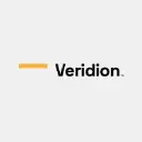 Veridion AI Logo