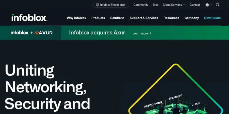 Infoblox AI screenshot