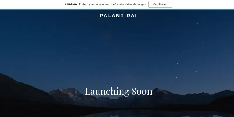 Palantir AI screenshot